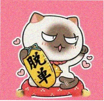 泰国女演员娜帕薇拉婉头像